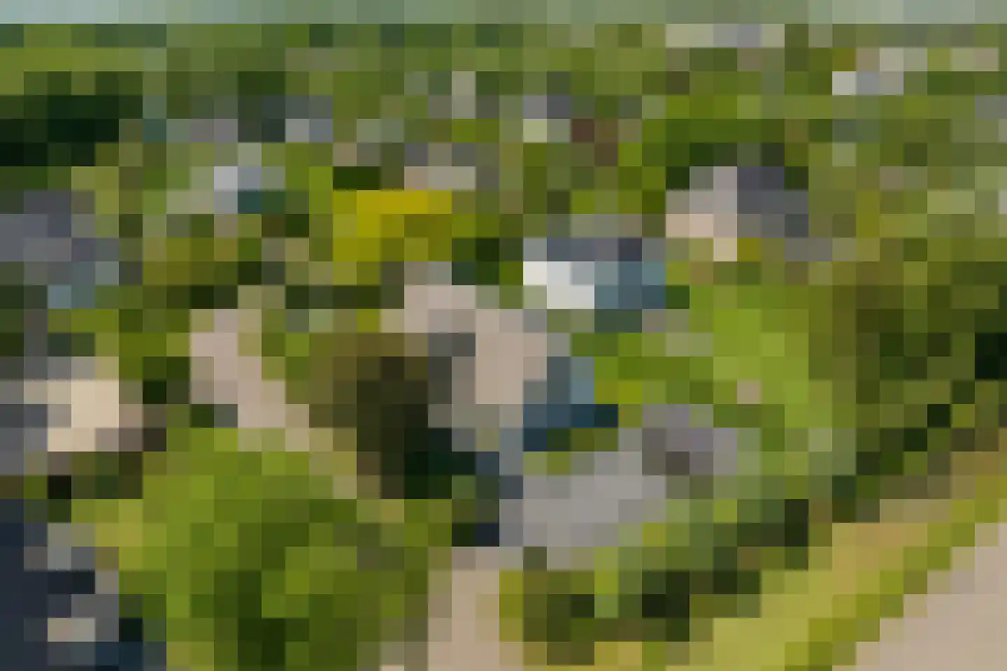 Liduinalaan 16 Noordwijkerhout thumbnail 4