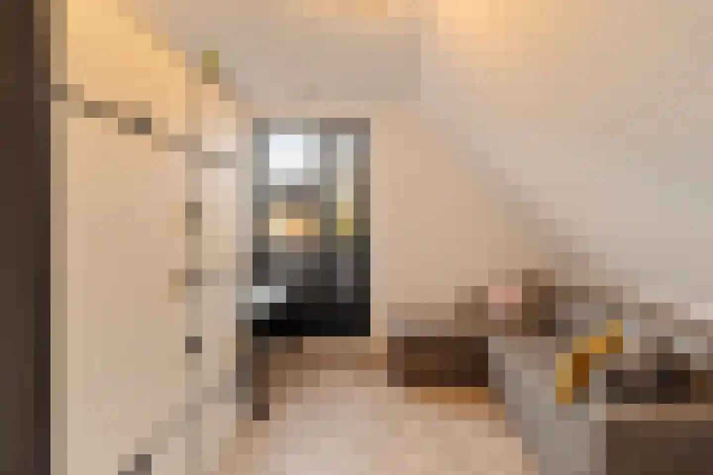 Liduinalaan 16 Noordwijkerhout thumbnail 46