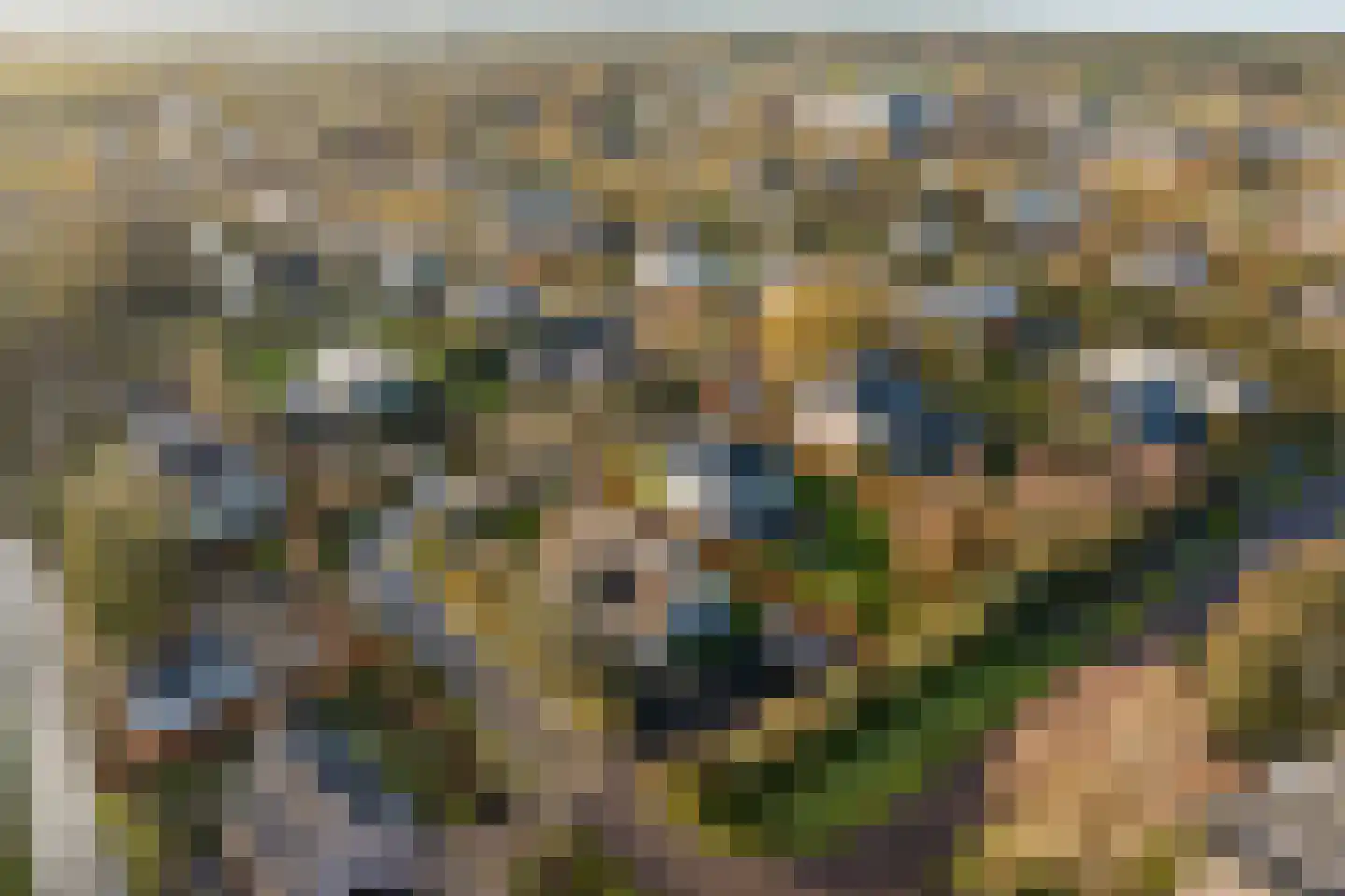 Liduinalaan 16 Noordwijkerhout thumbnail 48