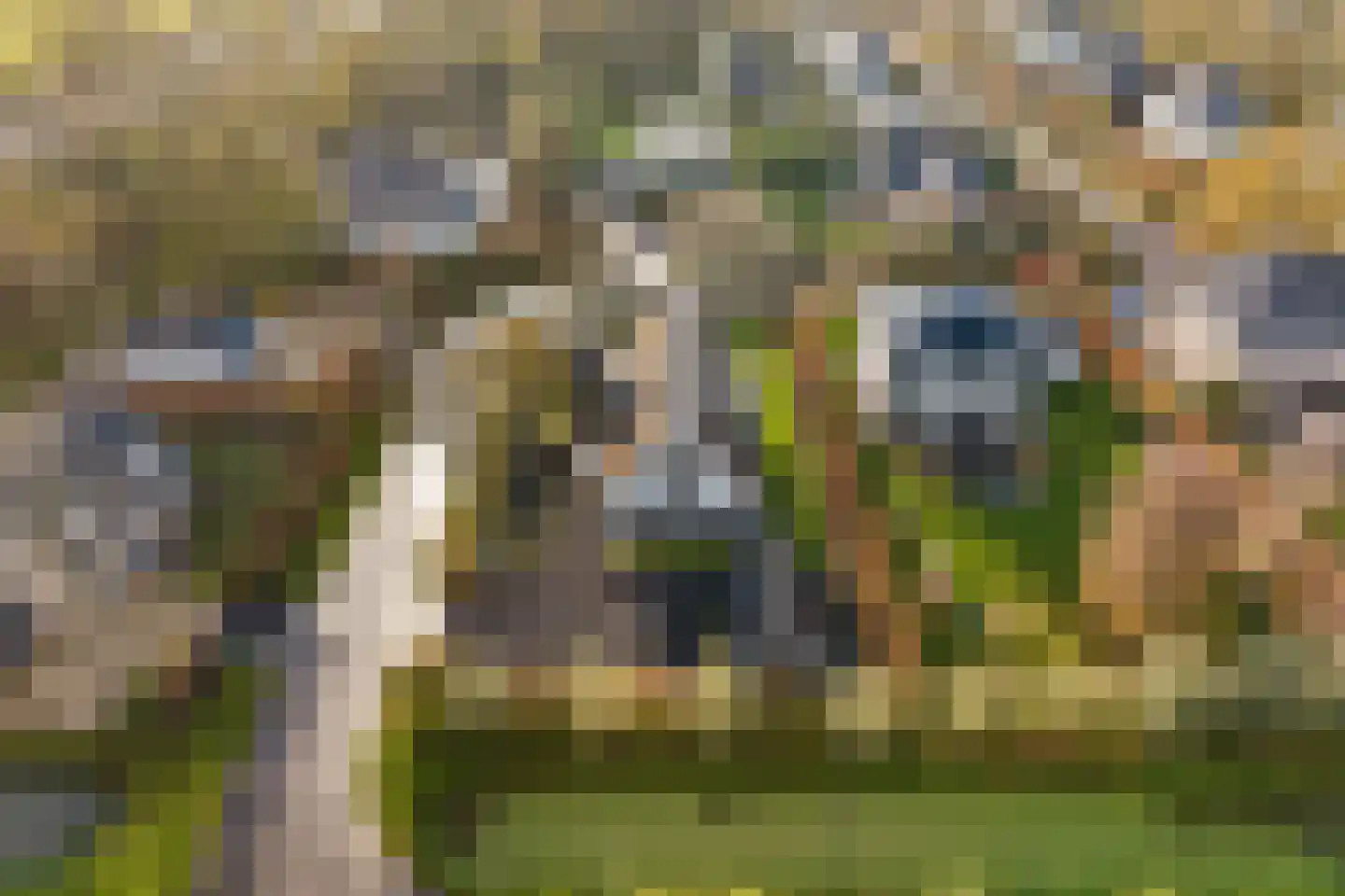 Liduinalaan 16 Noordwijkerhout thumbnail 49