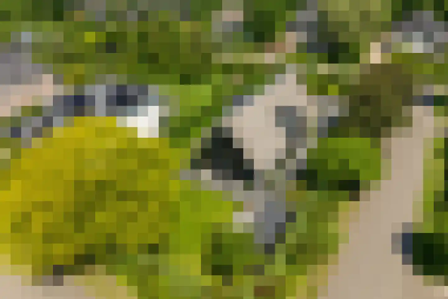 Liduinalaan 16 Noordwijkerhout thumbnail 5