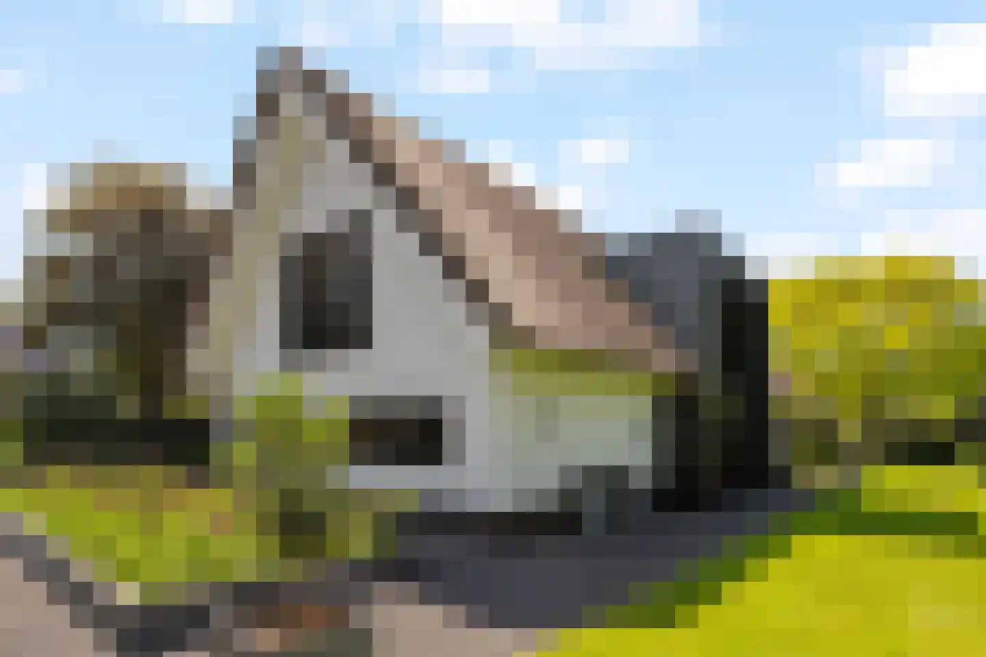 Liduinalaan 16 Noordwijkerhout thumbnail 51