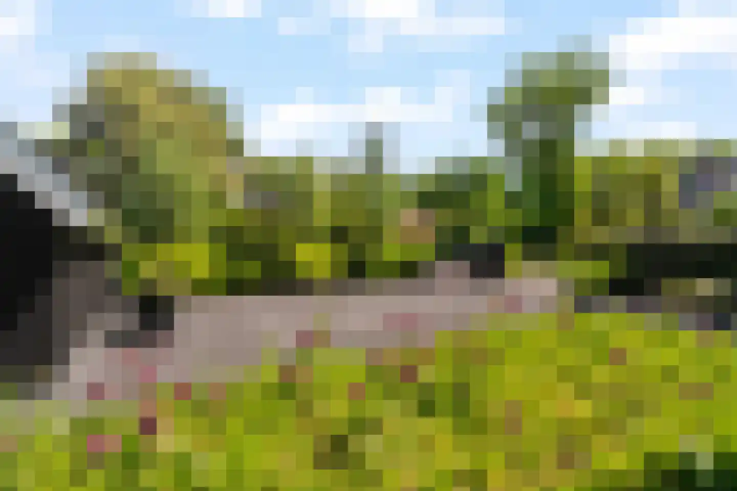 Liduinalaan 16 Noordwijkerhout thumbnail 52