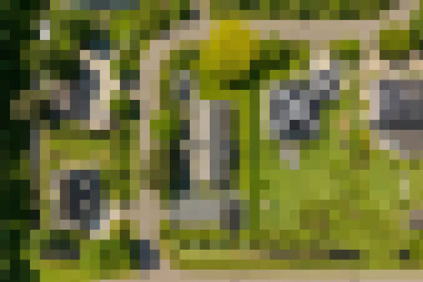 Liduinalaan 16 Noordwijkerhout thumbnail 53