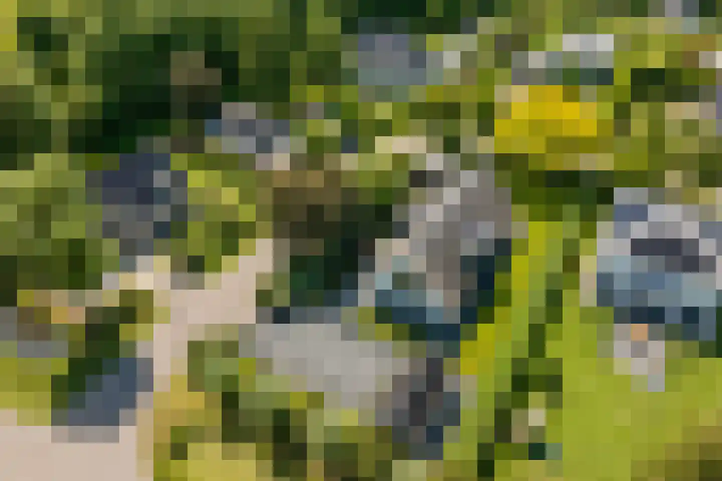 Liduinalaan 16 Noordwijkerhout thumbnail 54