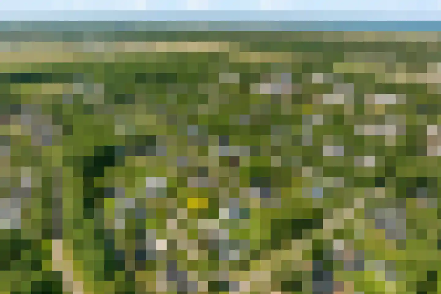 Liduinalaan 16 Noordwijkerhout thumbnail 55