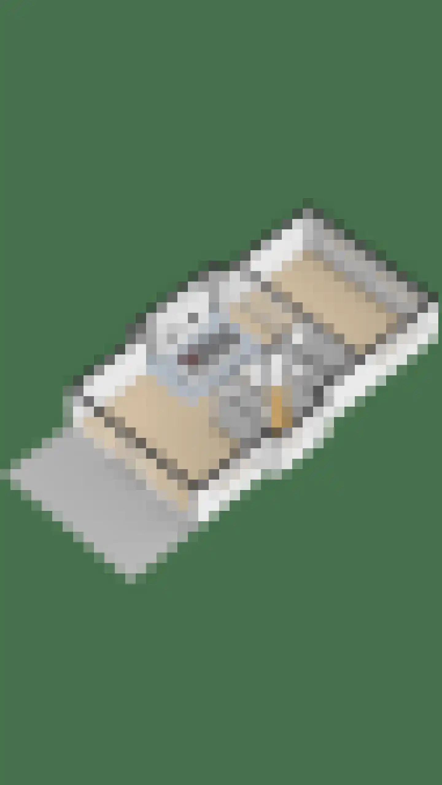 Liduinalaan 16 Noordwijkerhout thumbnail 59