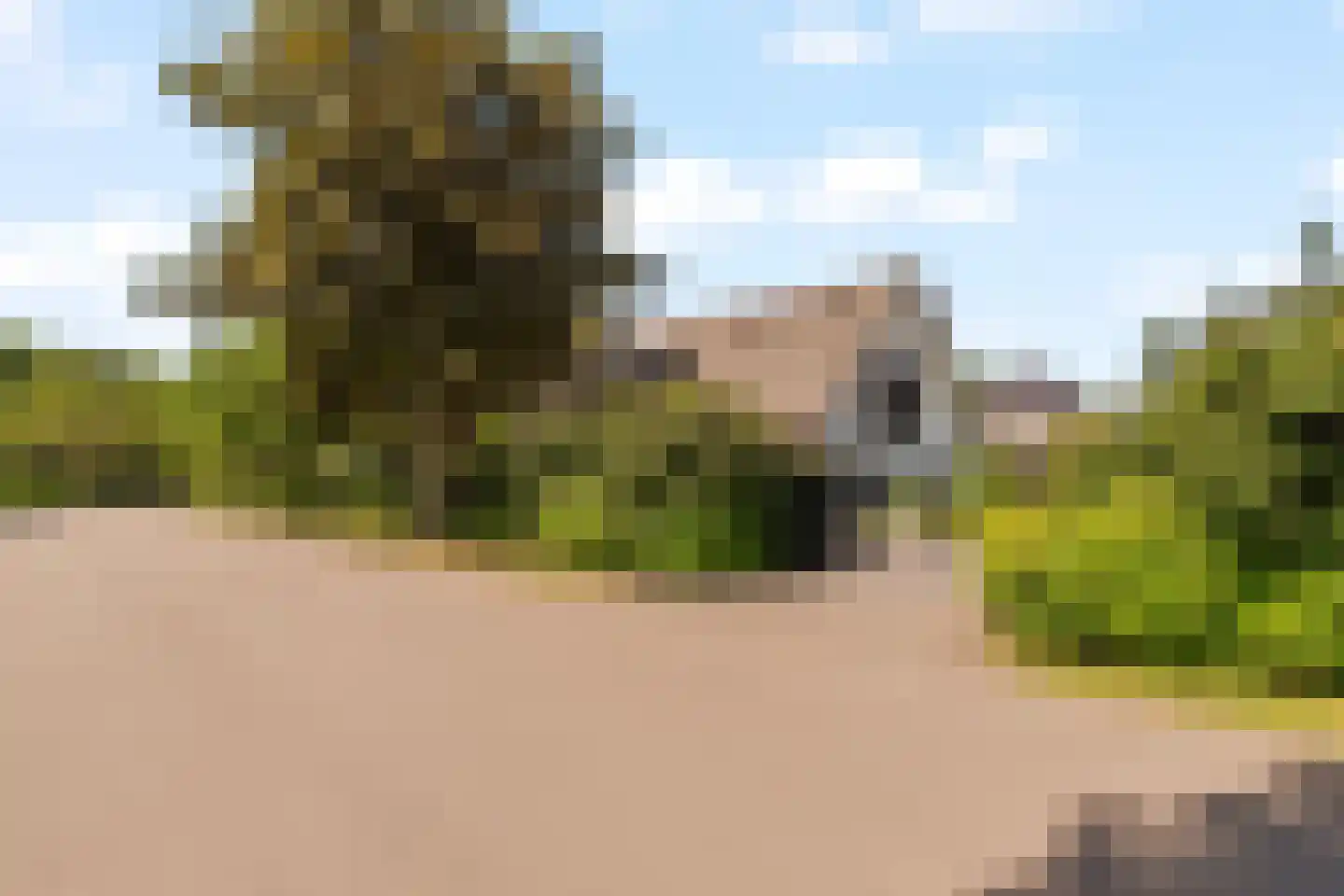 Liduinalaan 16 Noordwijkerhout thumbnail 6