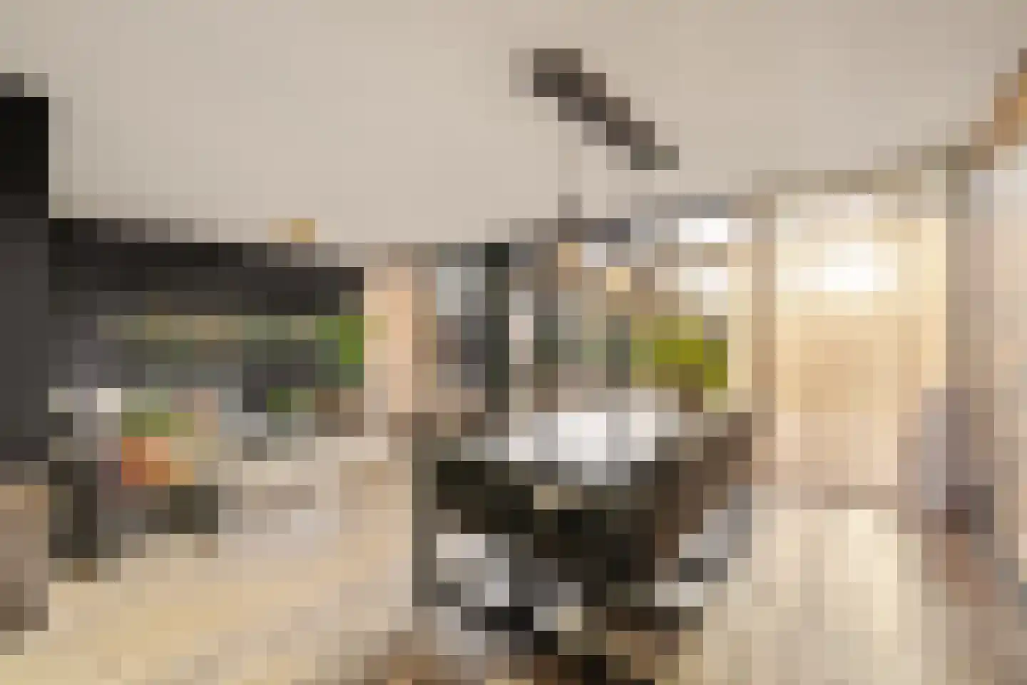 Liduinalaan 16 Noordwijkerhout thumbnail 7