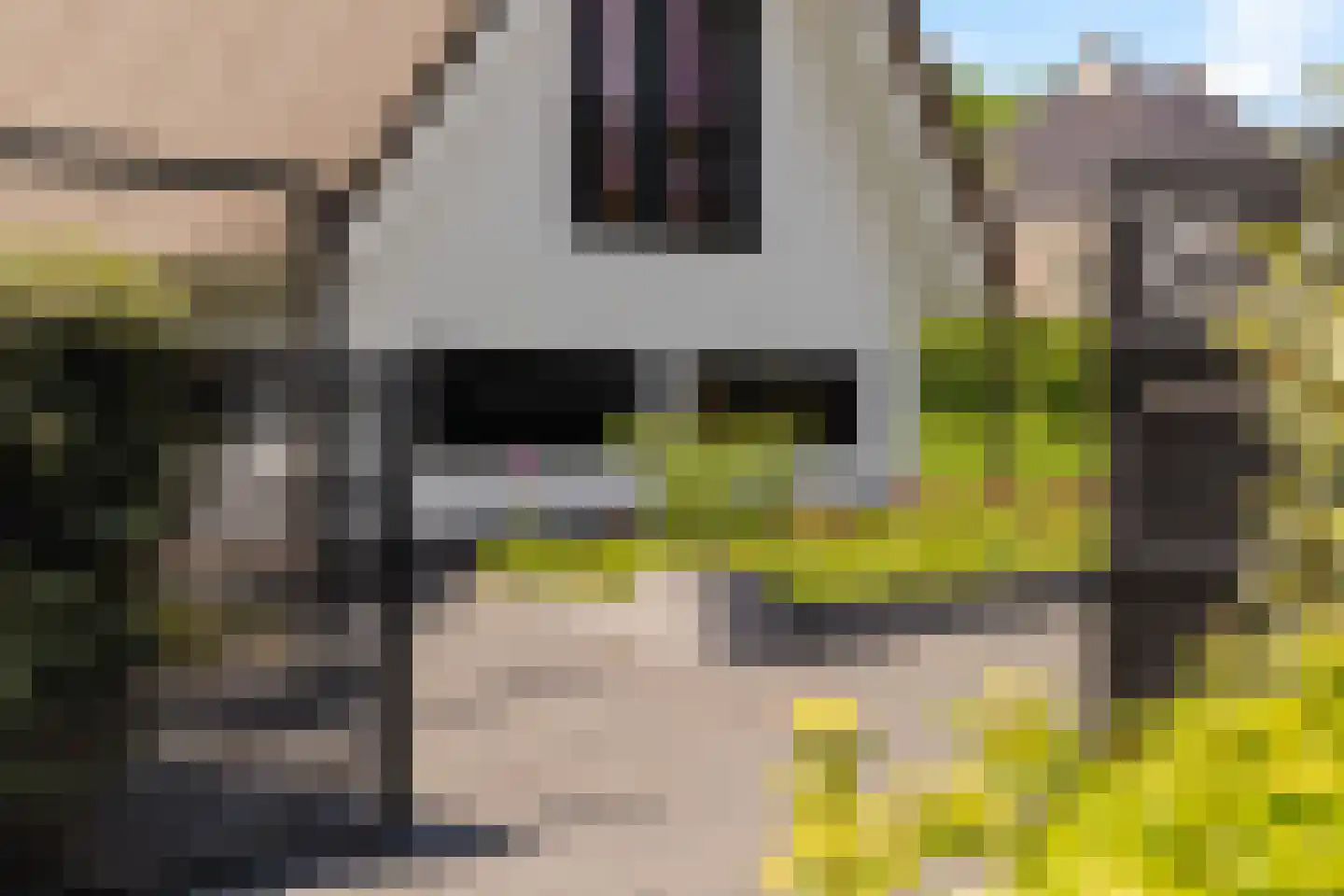 Liduinalaan 16 Noordwijkerhout thumbnail 8