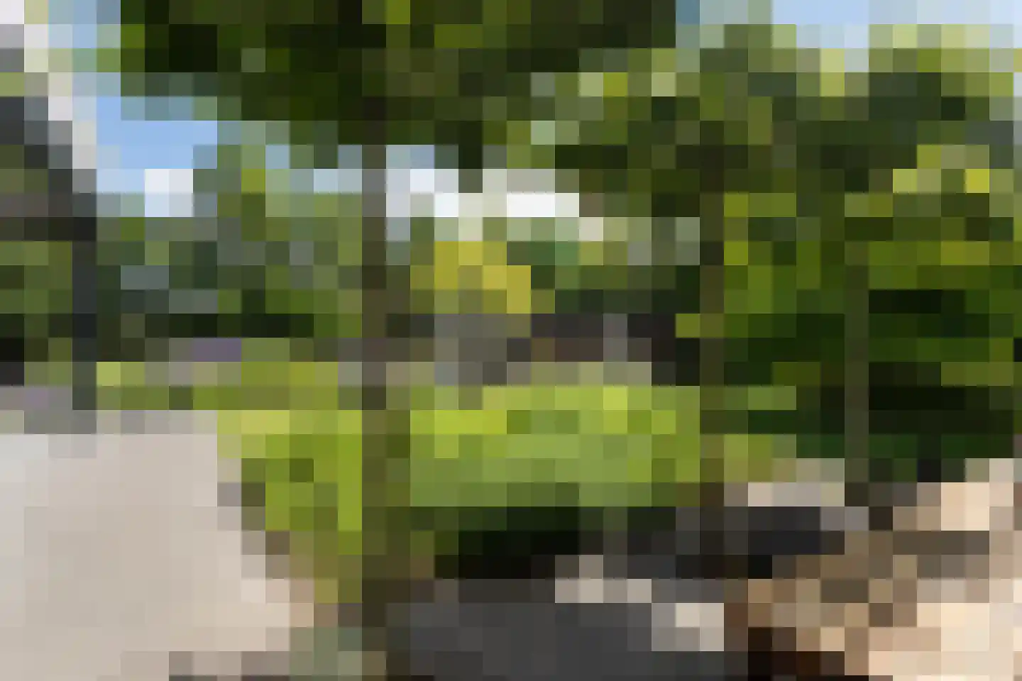 Liduinalaan 2 Noordwijkerhout thumbnail 21