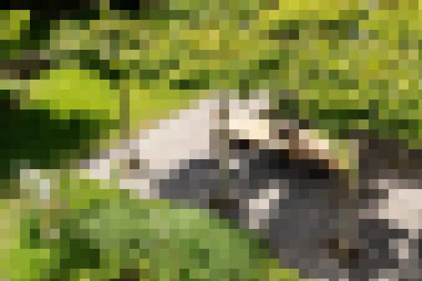 Liduinalaan 2 Noordwijkerhout thumbnail 23