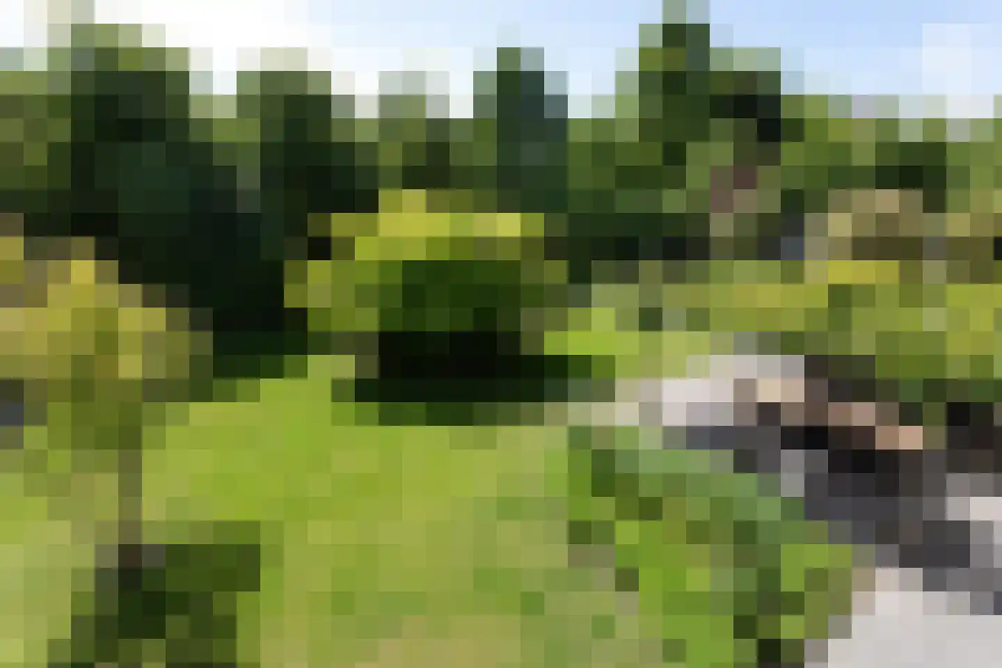Liduinalaan 2 Noordwijkerhout thumbnail 24