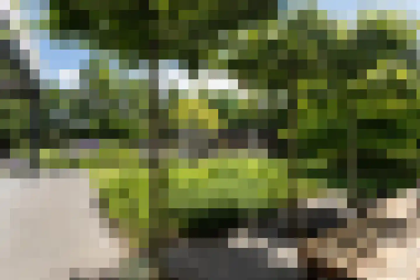 Liduinalaan 2 Noordwijkerhout thumbnail 24