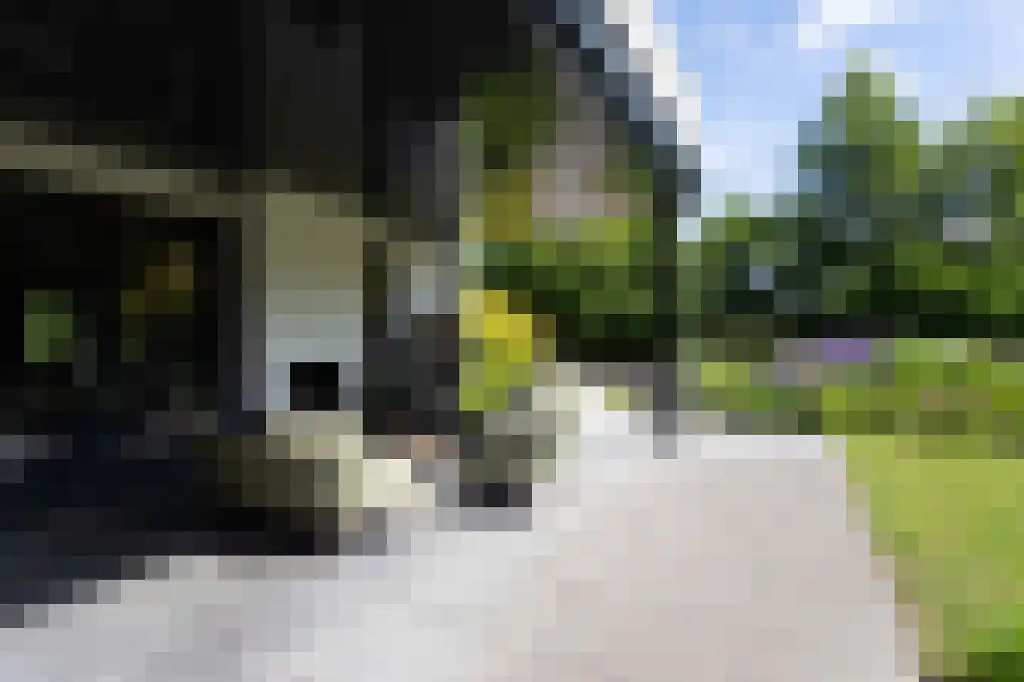 Liduinalaan 2 Noordwijkerhout thumbnail 25