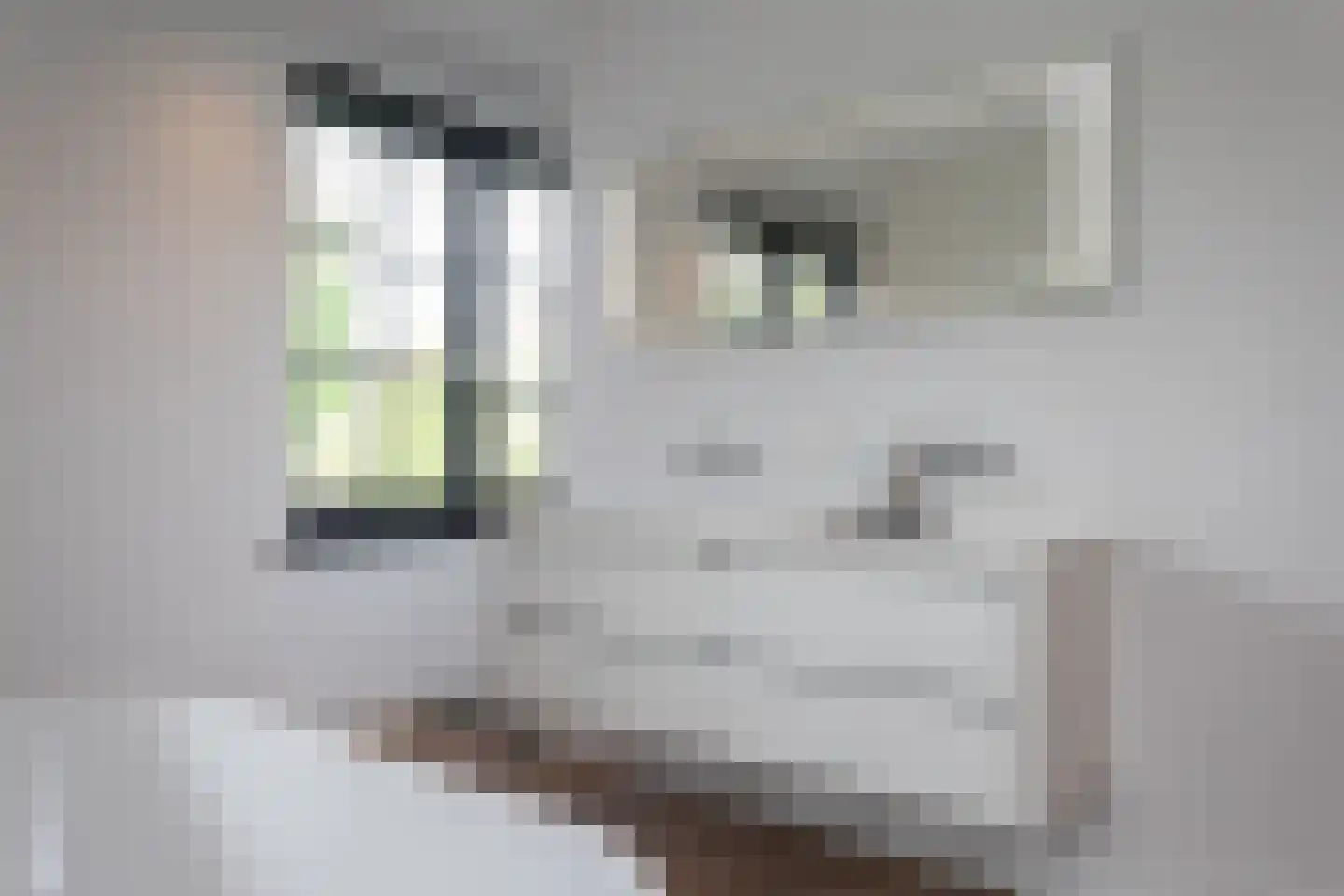 Liduinalaan 2 Noordwijkerhout thumbnail 32