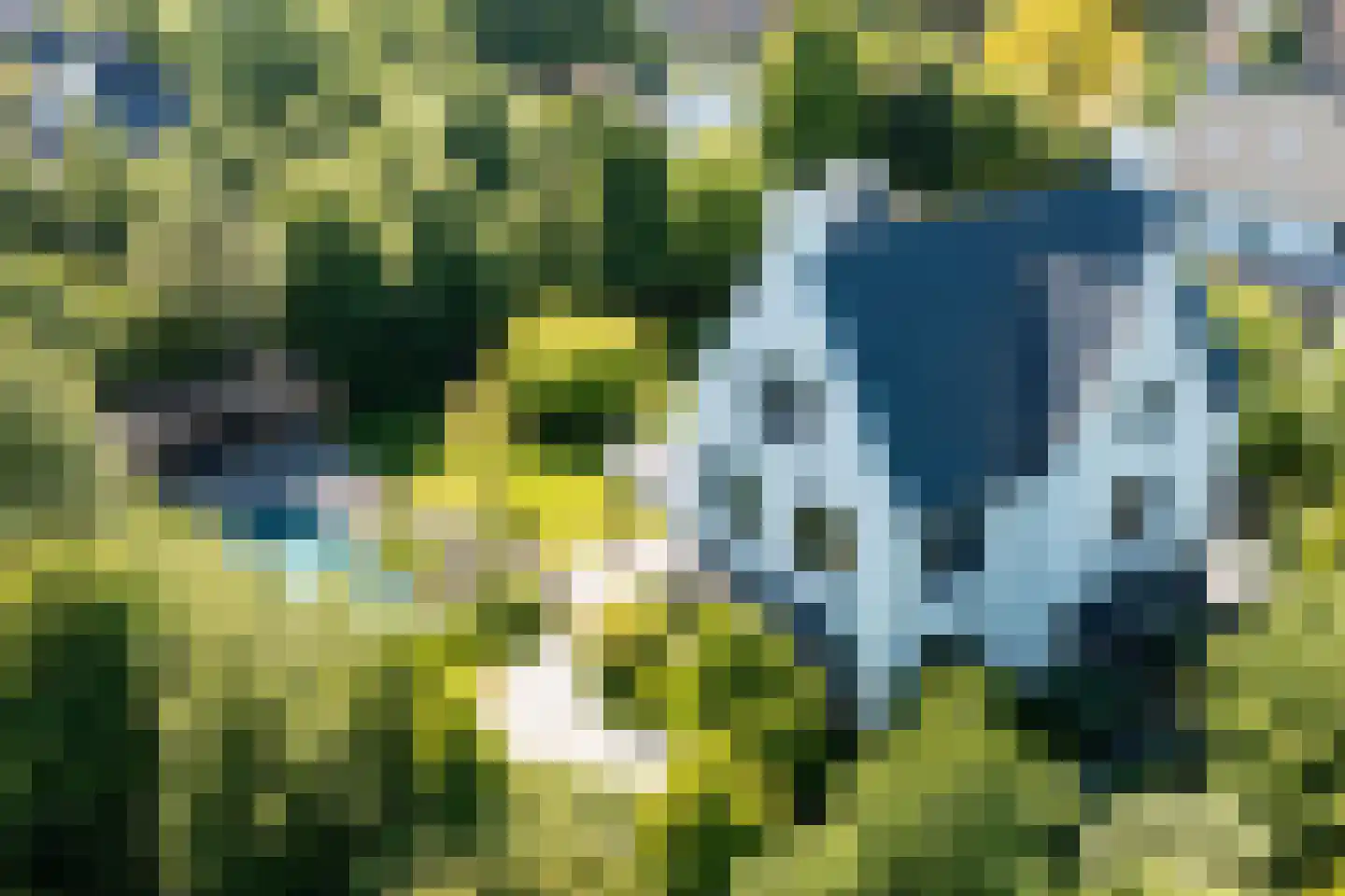 Liduinalaan 2 Noordwijkerhout thumbnail 49