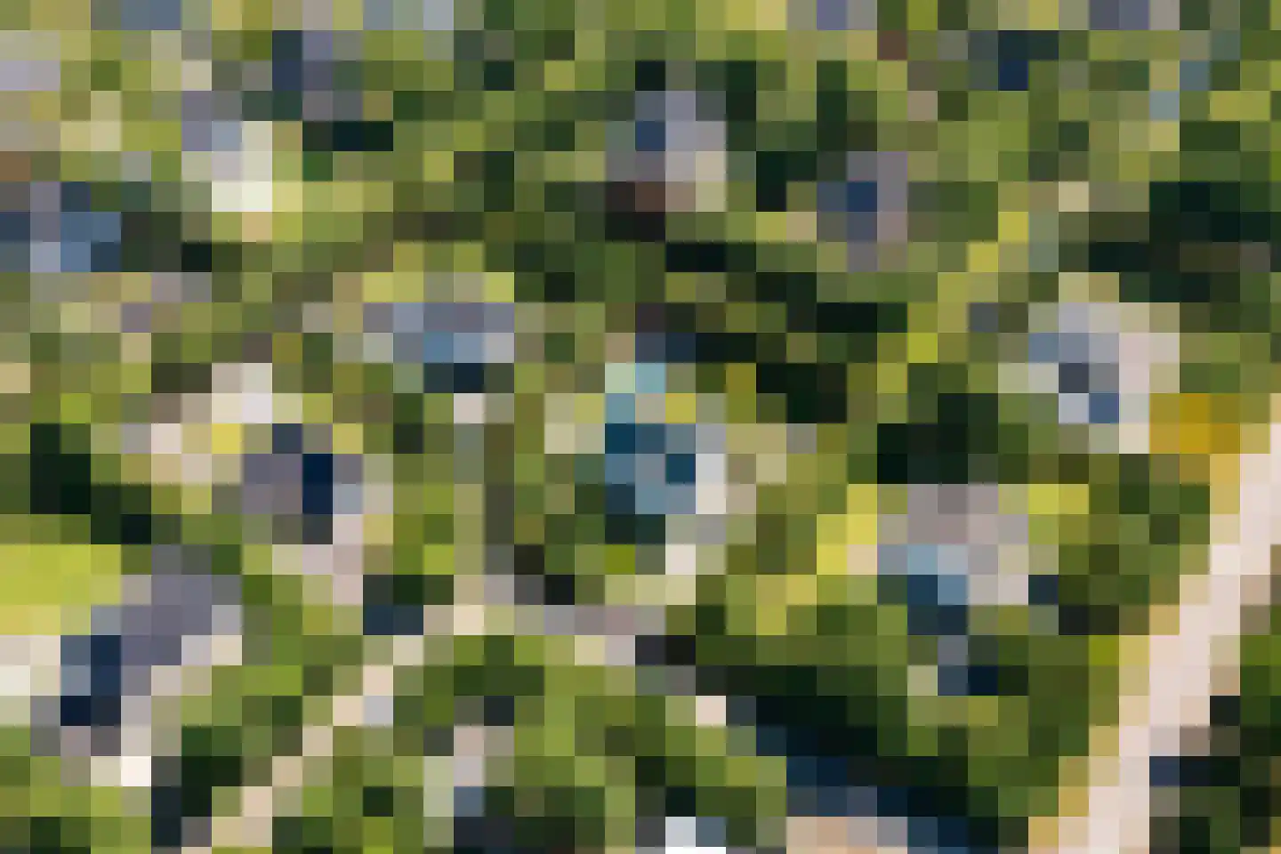 Liduinalaan 2 Noordwijkerhout thumbnail 62