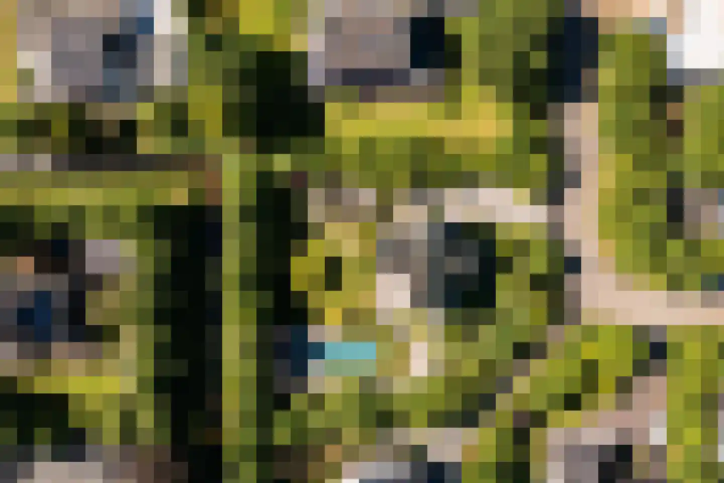 Liduinalaan 2 Noordwijkerhout thumbnail 63