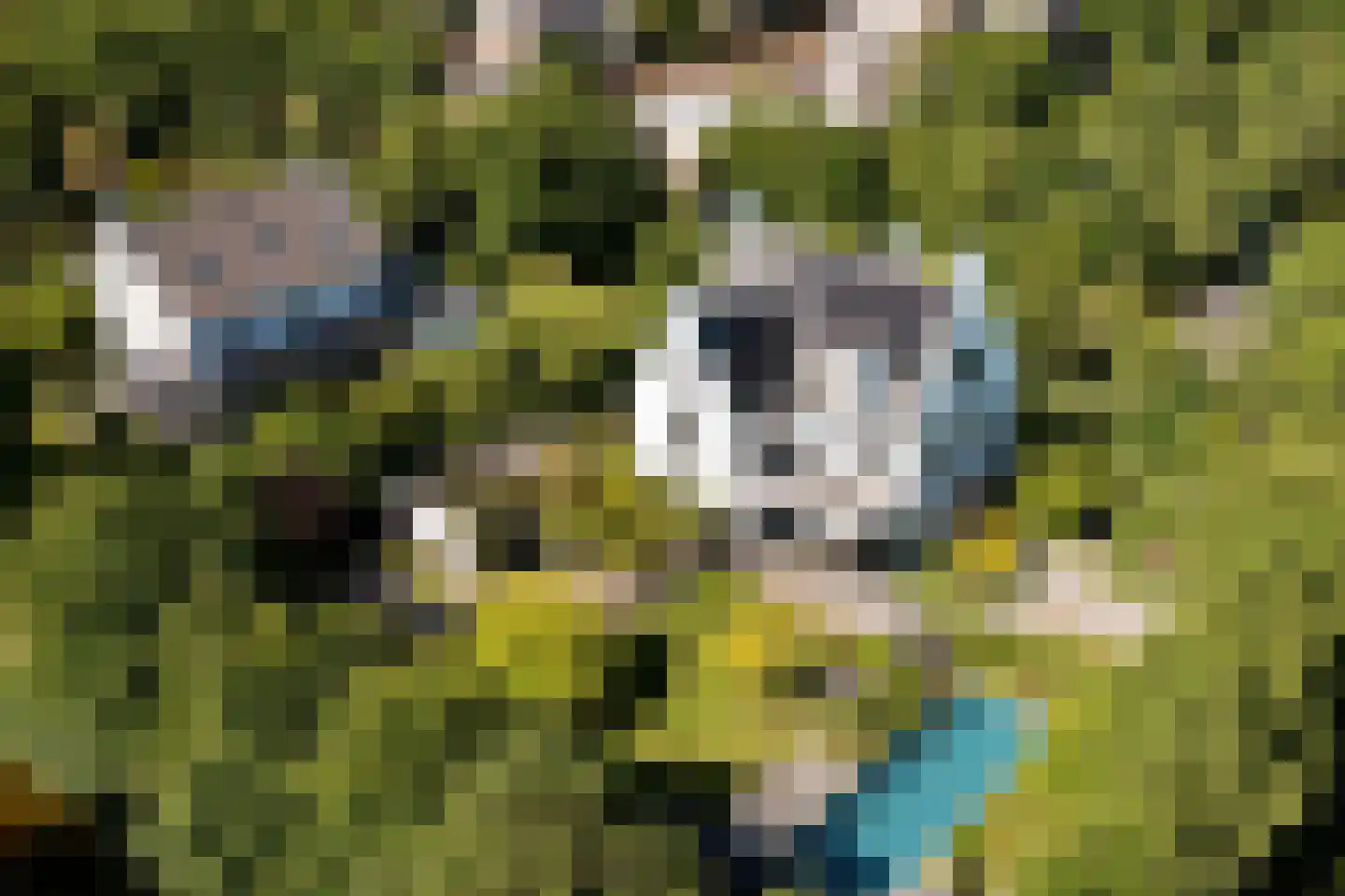 Liduinalaan 2 Noordwijkerhout thumbnail 64
