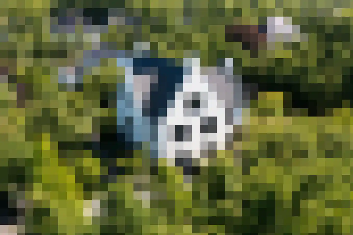 Liduinalaan 2 Noordwijkerhout thumbnail 65