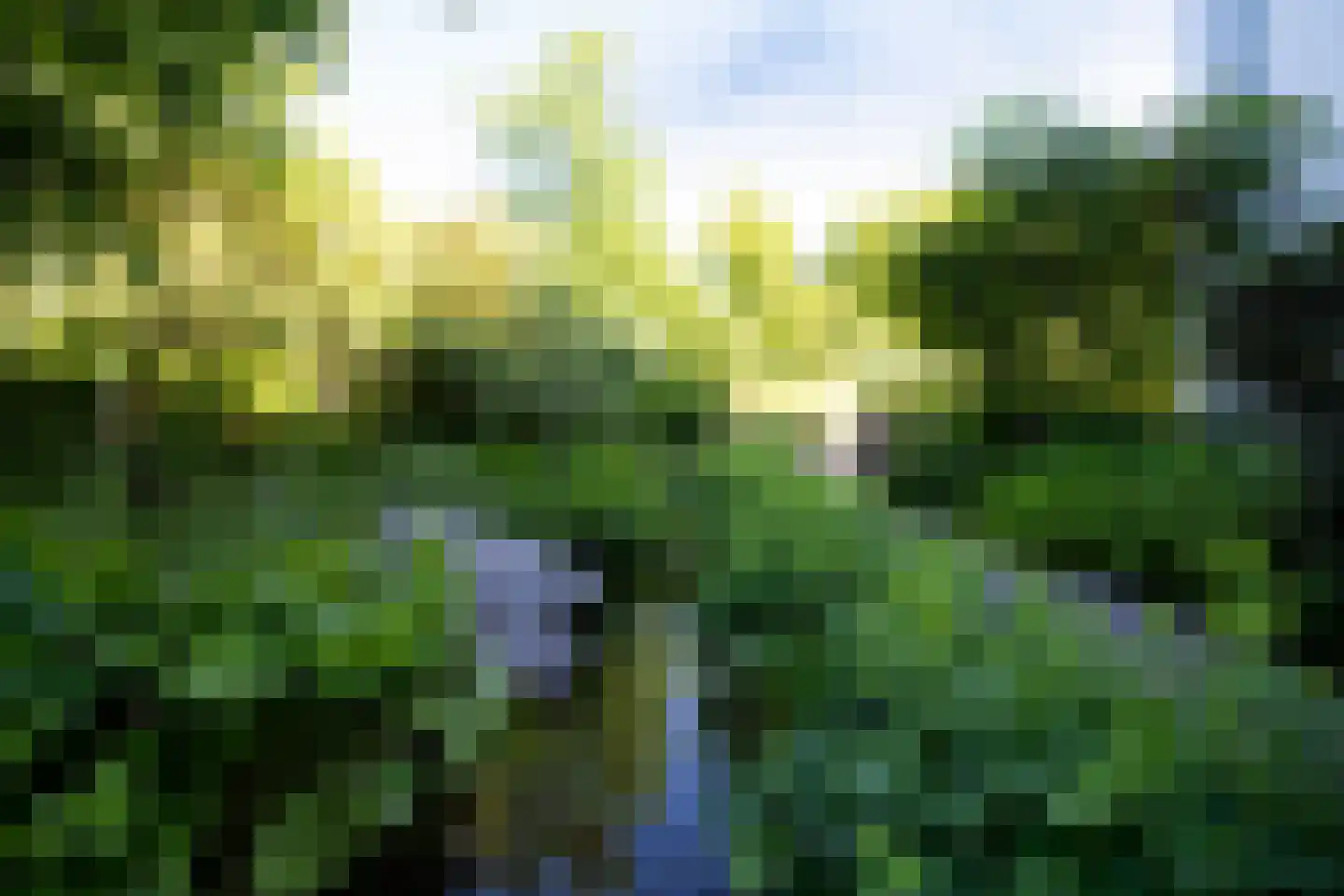 Liduinalaan 2 Noordwijkerhout thumbnail 68