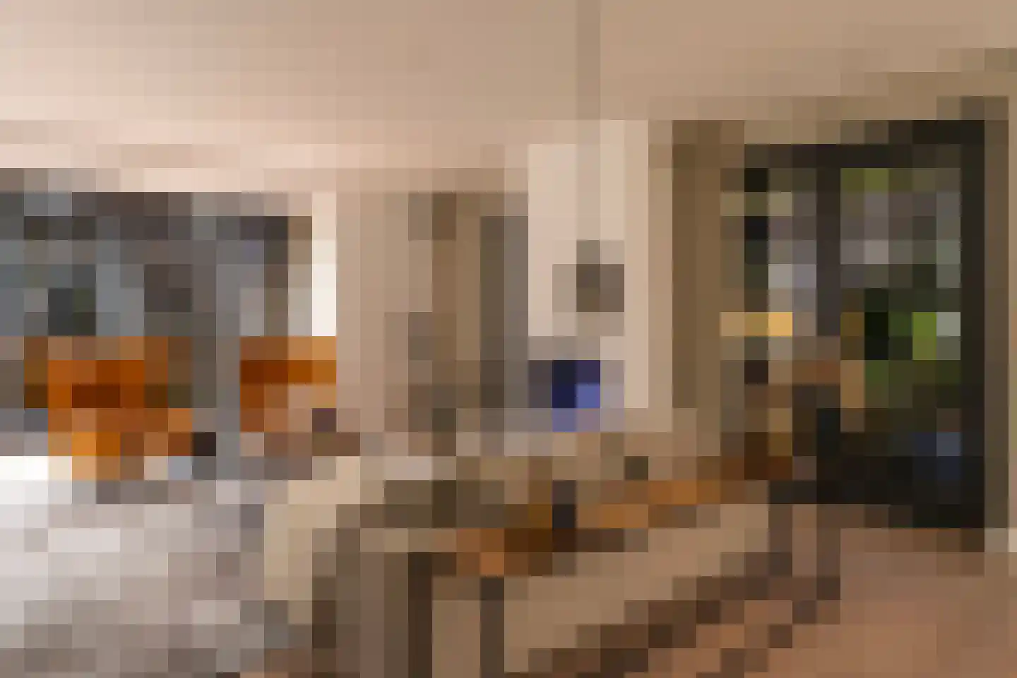 Liduinalaan 2 Noordwijkerhout thumbnail 79
