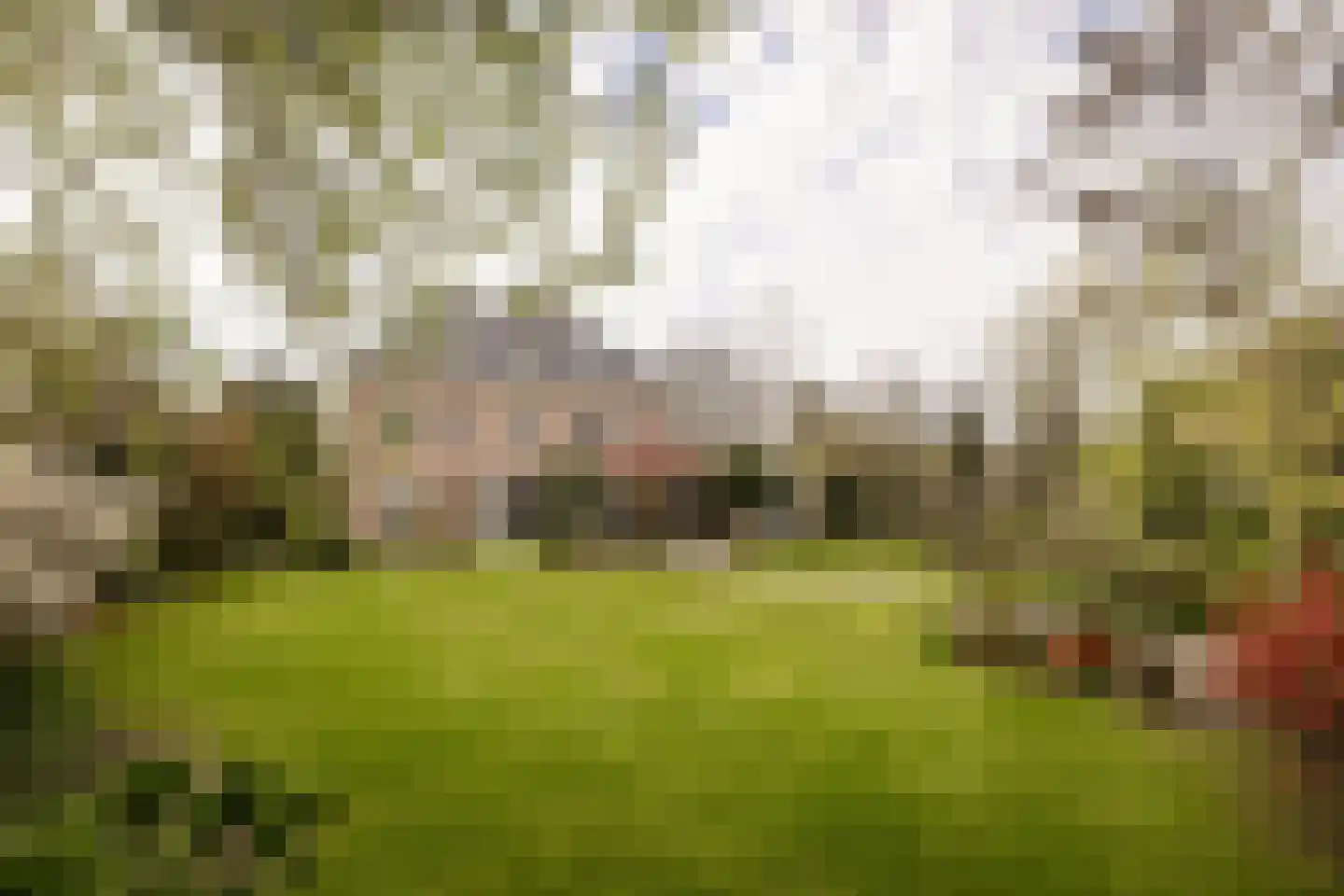 Liduinalaan 20 Noordwijkerhout thumbnail 16