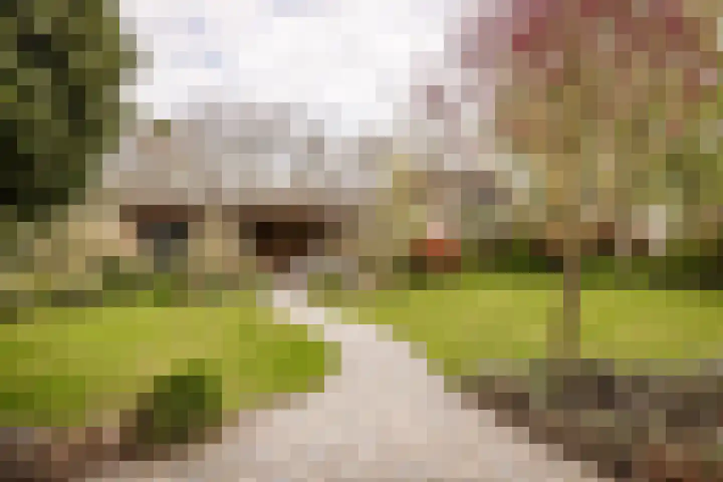 Liduinalaan 20 Noordwijkerhout thumbnail 17