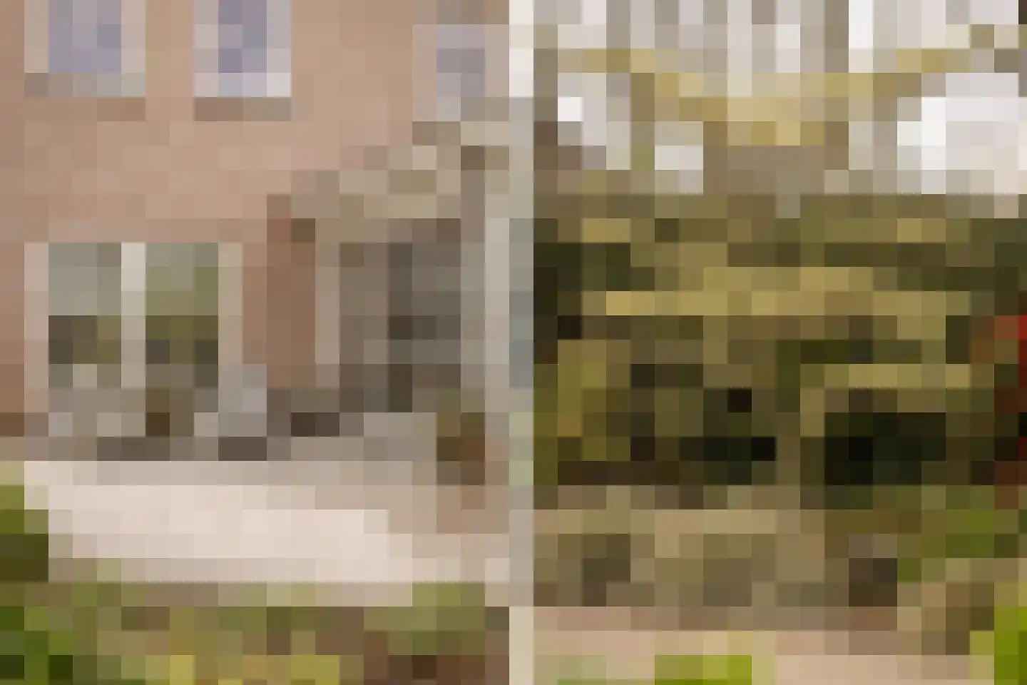 Liduinalaan 20 Noordwijkerhout thumbnail 29