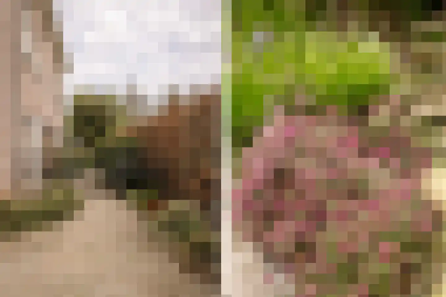 Liduinalaan 20 Noordwijkerhout thumbnail 33