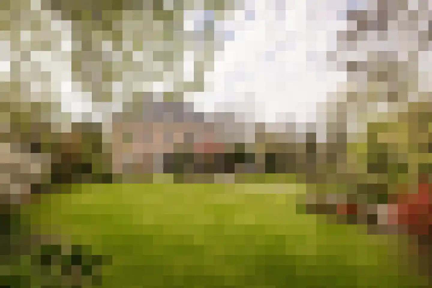 Liduinalaan 20 Noordwijkerhout thumbnail 4