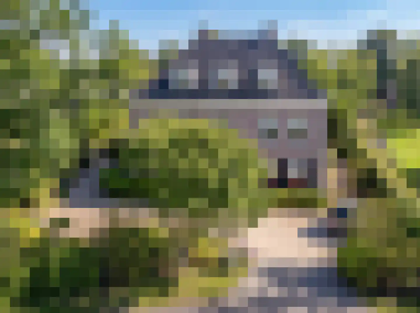 Liduinalaan 20 Noordwijkerhout thumbnail 56