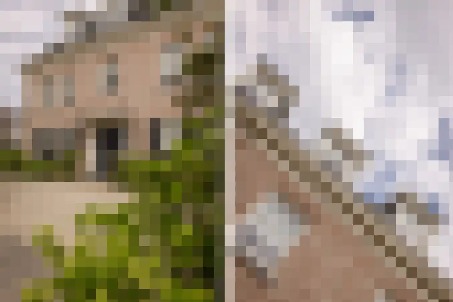 Liduinalaan 20 Noordwijkerhout thumbnail 7