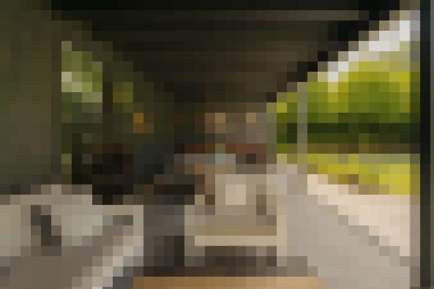 Liduinalaan 9 Noordwijkerhout thumbnail 13