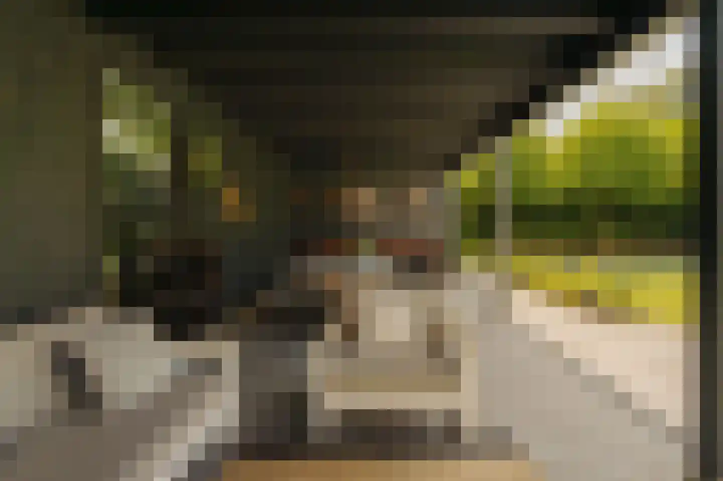Liduinalaan 9 Noordwijkerhout thumbnail 13