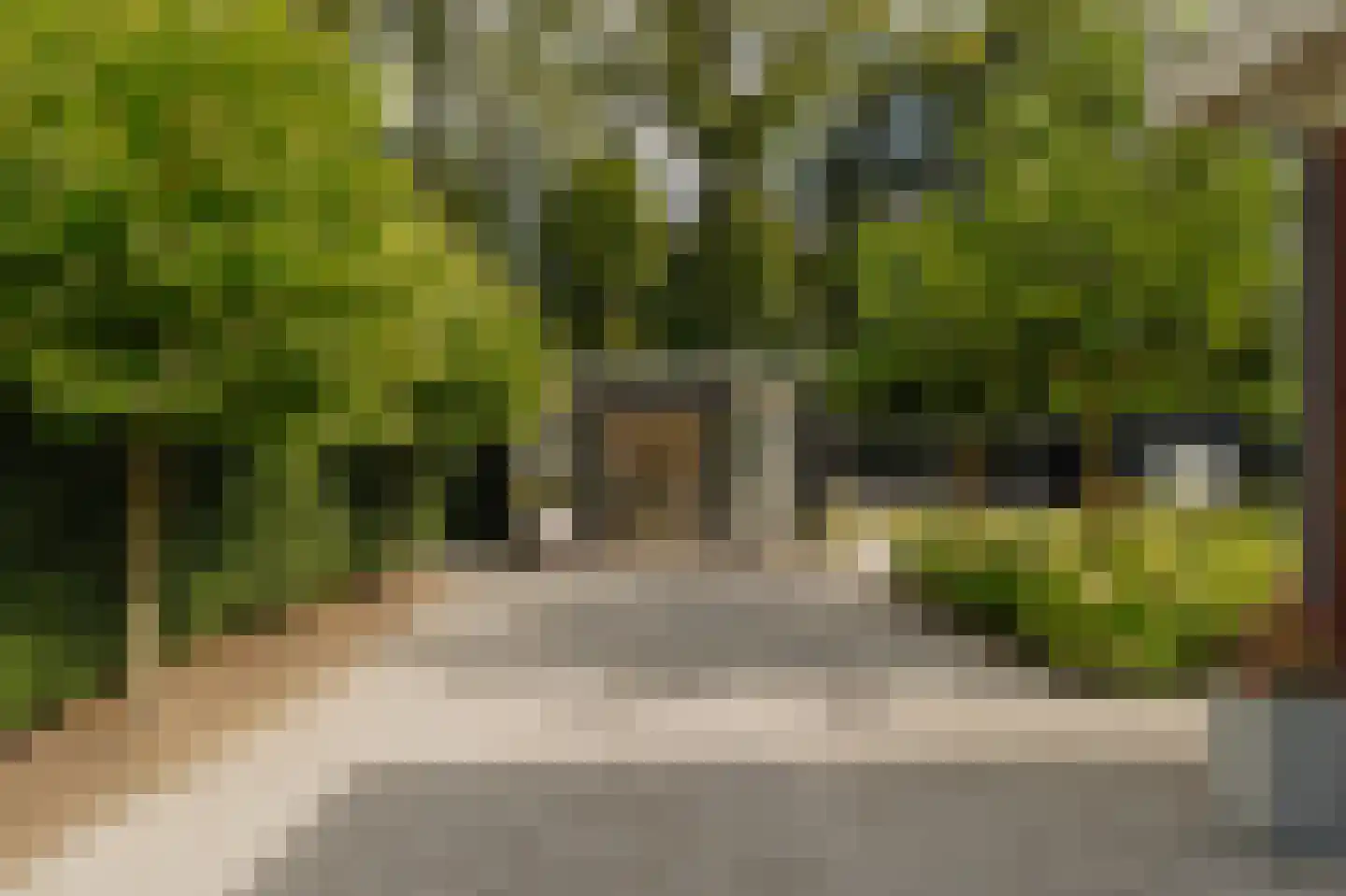 Liduinalaan 9 Noordwijkerhout thumbnail 17
