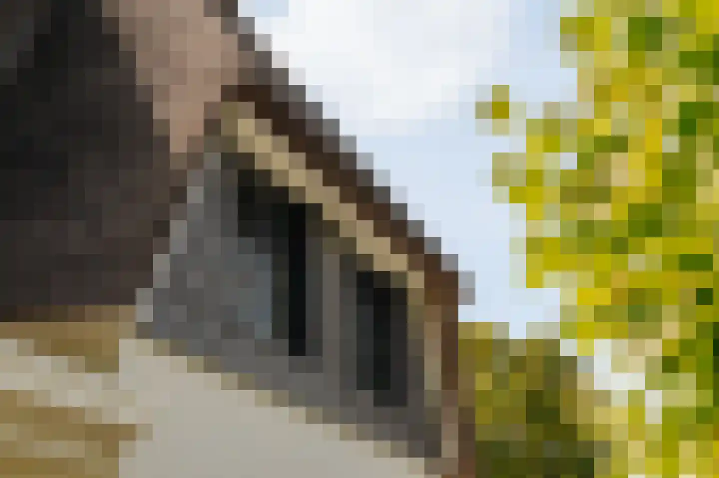 Liduinalaan 9 Noordwijkerhout thumbnail 23