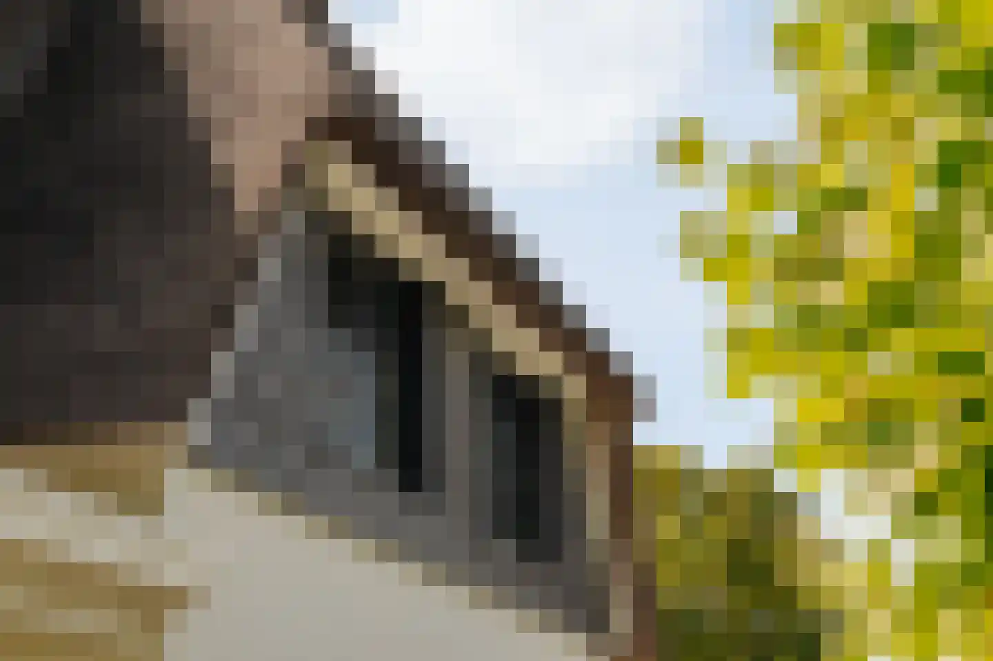 Liduinalaan 9 Noordwijkerhout thumbnail 23