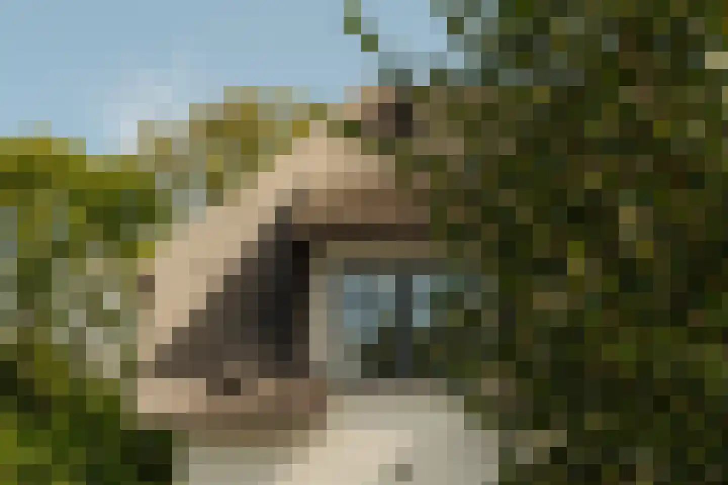 Liduinalaan 9 Noordwijkerhout thumbnail 32