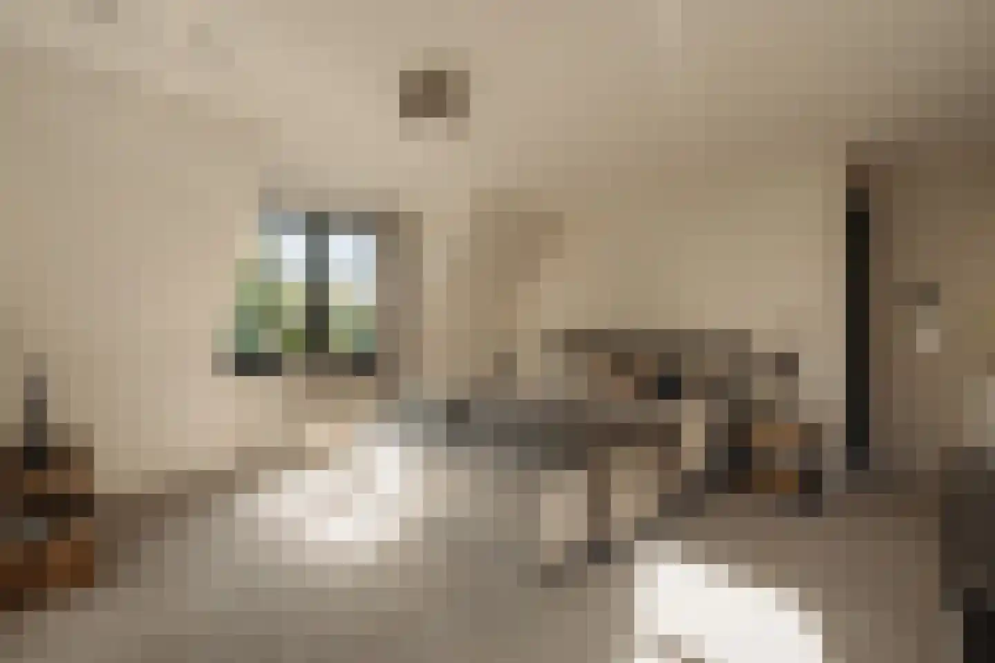 Liduinalaan 9 Noordwijkerhout thumbnail 36