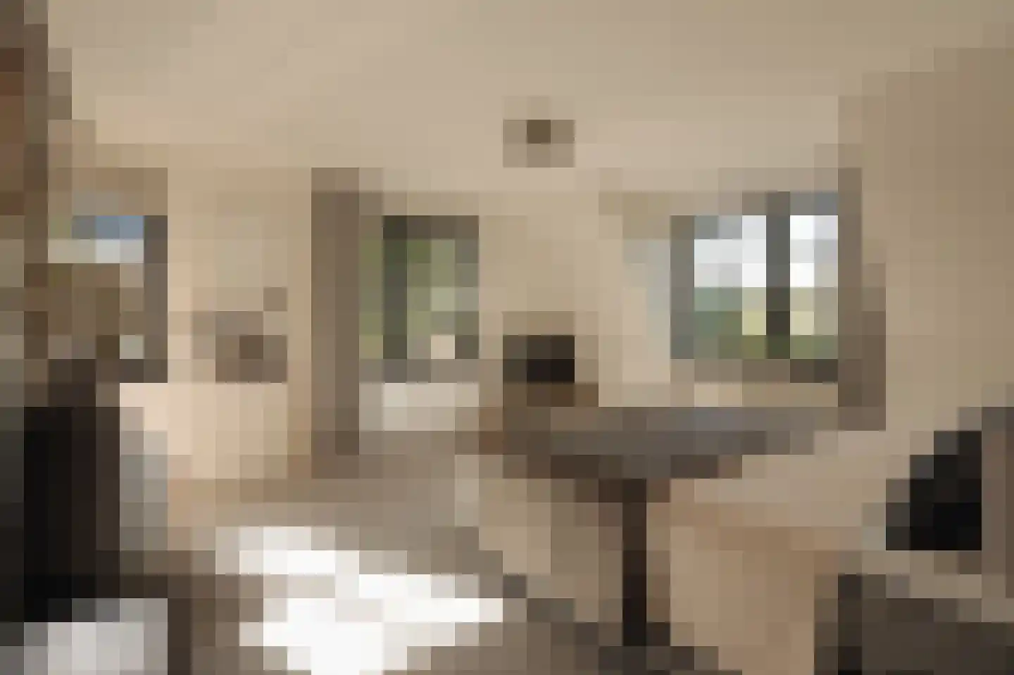 Liduinalaan 9 Noordwijkerhout thumbnail 40