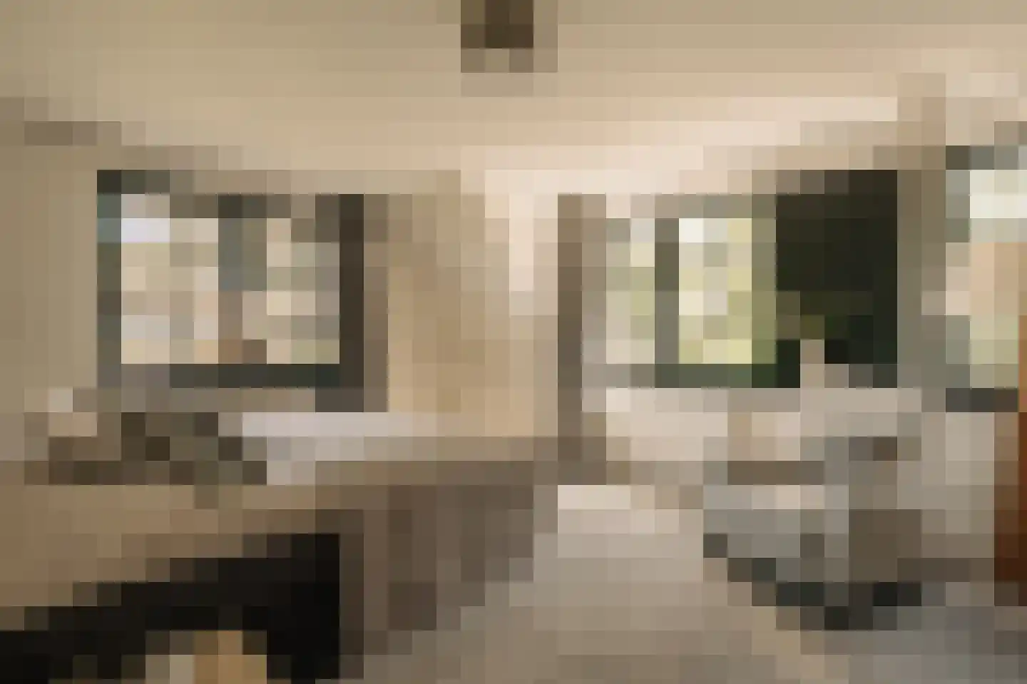 Liduinalaan 9 Noordwijkerhout thumbnail 43