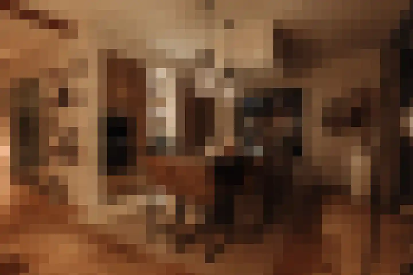 Liduinalaan 9 Noordwijkerhout thumbnail 55