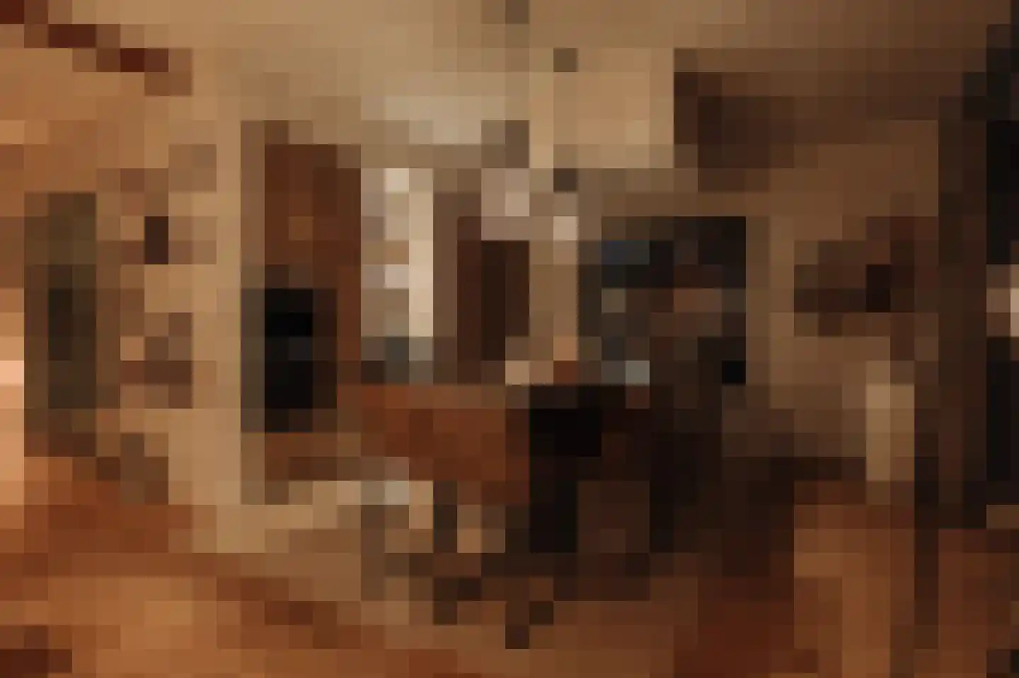 Liduinalaan 9 Noordwijkerhout thumbnail 56