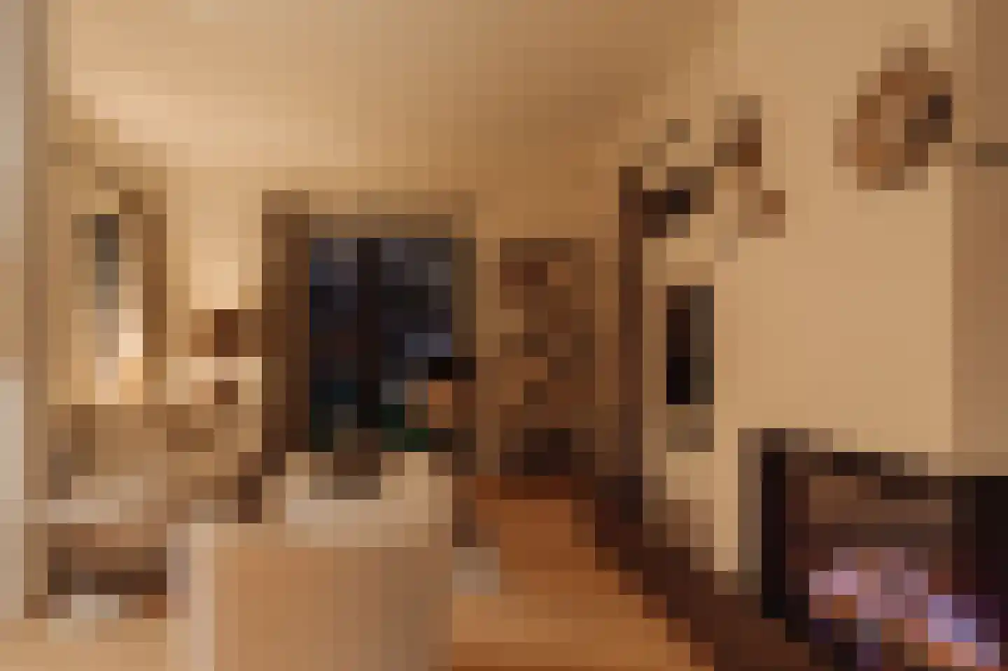 Liduinalaan 9 Noordwijkerhout thumbnail 56