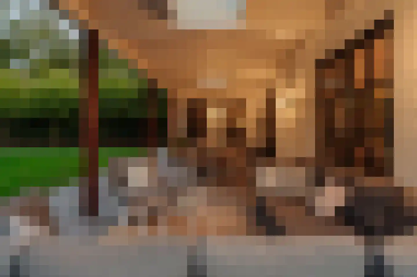 Liduinalaan 9 Noordwijkerhout thumbnail 57