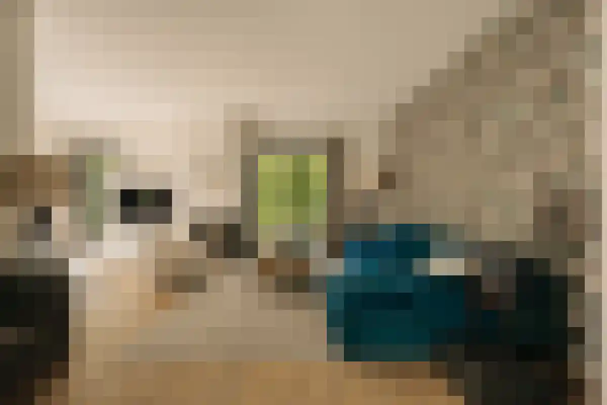 Liduinalaan 9 Noordwijkerhout thumbnail 6