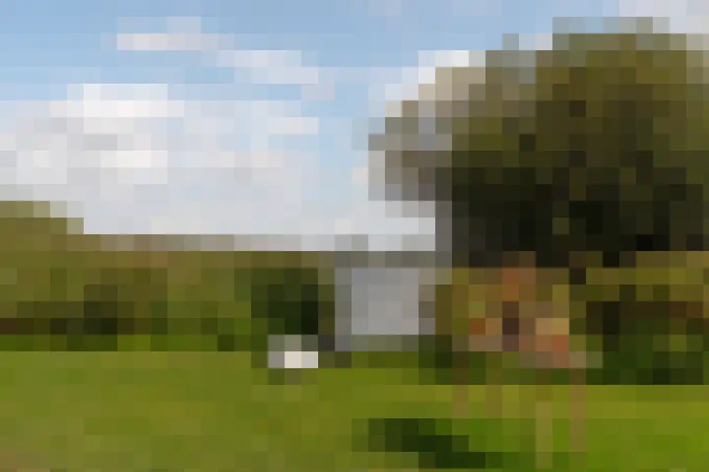 Liduinalaan 9 Noordwijkerhout thumbnail 61