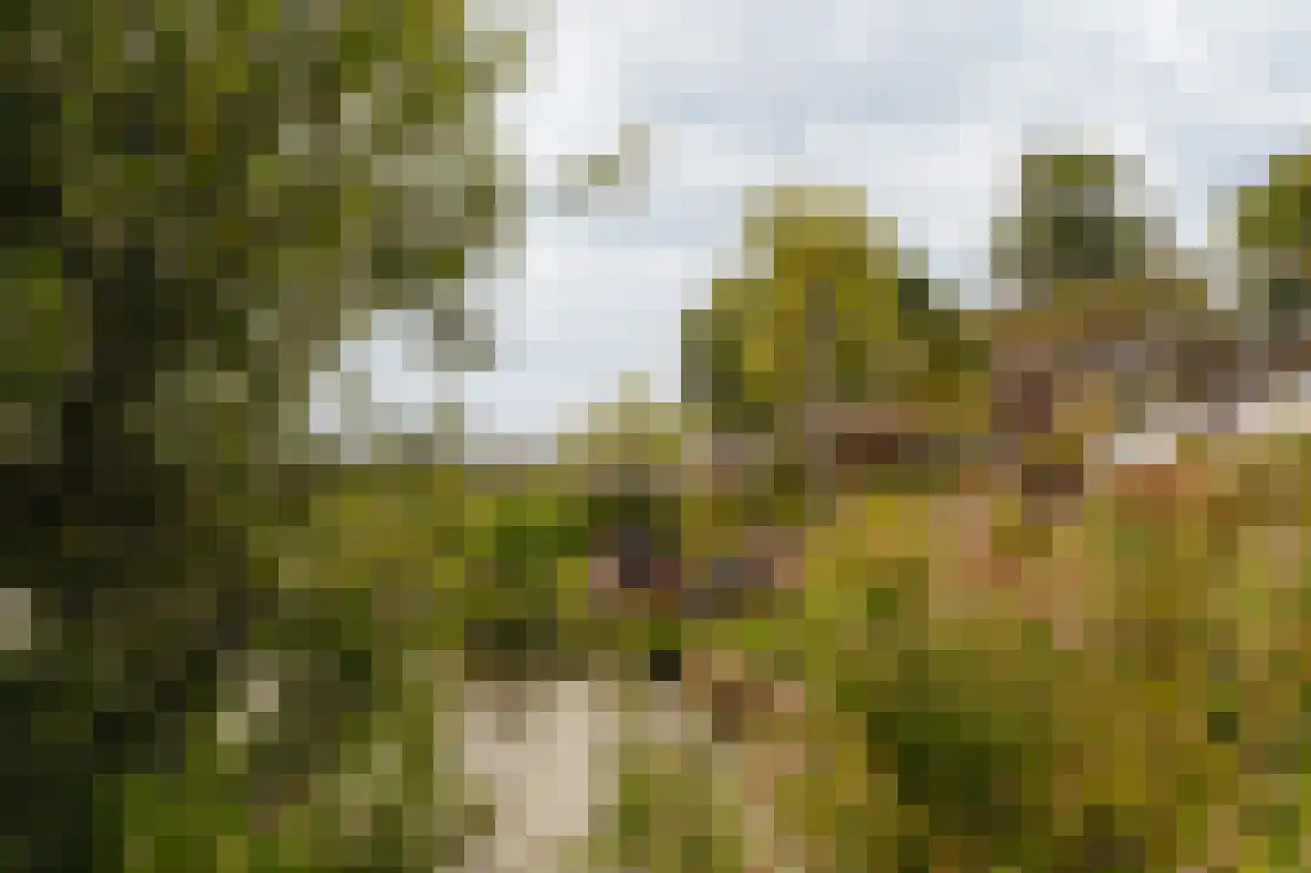 Liduinalaan 9 Noordwijkerhout thumbnail 62